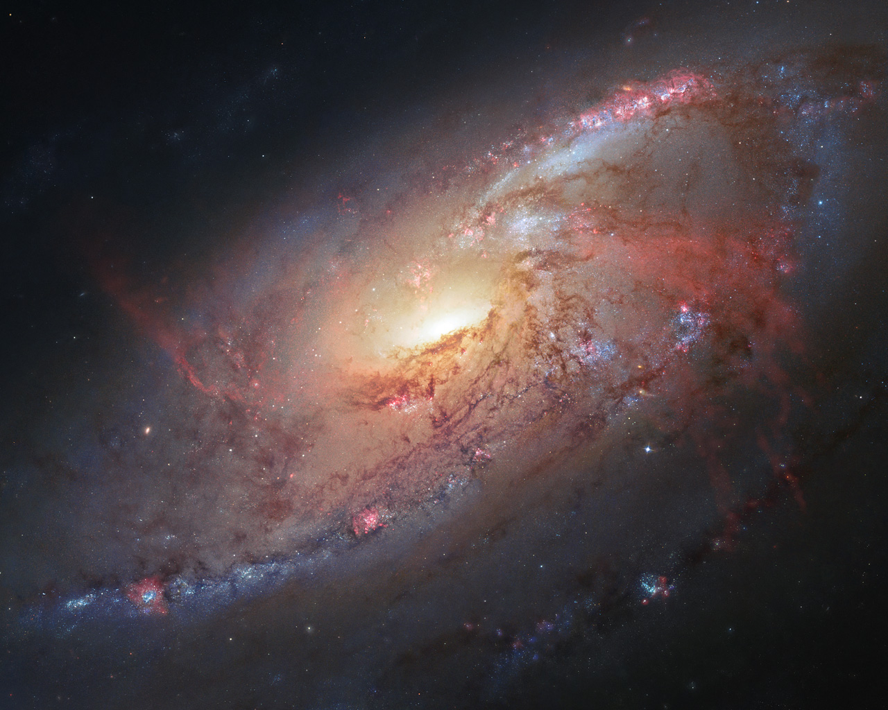 This image combines Hubble observations of M 106 with additional information captured by amateur astronomers Robert Gendler and Jay GaBany. Gendler combined Hubble data with his own observations to produce this stunning colour image. M 106 is a relatively nearby spiral galaxy, a little over 20 million light-years away.