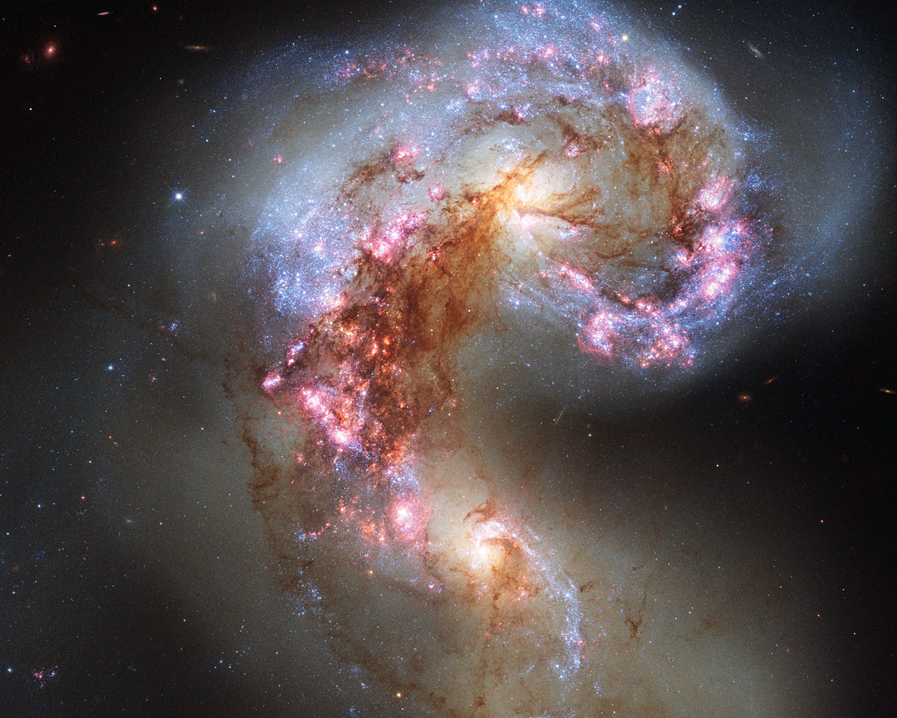 The NASA/ESA Hubble Space Telescope has snapped the best ever image of the Antennae Galaxies. Hubble has released images of these stunning galaxies twice before, once using observations from its Wide Field and Planetary Camera 2 (WFPC2) in 1997, and again in 2006 from the Advanced Camera for Surveys (ACS). Each of Hubble’s images of the Antennae Galaxies has been better than the last, due to upgrades made during the famous servicing missions, the last of which took place in 2009. The galaxies — also known as NGC 4038 and NGC 4039 — are locked in a deadly embrace. Once normal, sedate spiral galaxies like the Milky Way, the pair have spent the past few hundred million years sparring with one another. This clash is so violent that stars have been ripped from their host galaxies to form a streaming arc between the two. In wide-field images of the pair the reason for their name becomes clear — far-flung stars and streamers of gas stretch out into space, creating long tidal tails reminiscent of antennae. This new image of the Antennae Galaxies shows obvious signs of chaos. Clouds of gas are seen in bright pink and red, surrounding the bright flashes of blue star-forming regions — some of which are partially obscured by dark patches of dust. The rate of star formation is so high that the Antennae Galaxies are said to be in a state of starburst, a period in which all of the gas within the galaxies is being used to form stars. This cannot last forever and neither can the separate galaxies; eventually the nuclei will coalesce, and the galaxies will begin their retirement together as one large elliptical galaxy. This image uses visible and near-infrared observations from Hubble’s Wide Field Camera 3 (WFC3), along with some of the previously-released observations from Hubble’s Advanced Camera for Surveys (ACS).